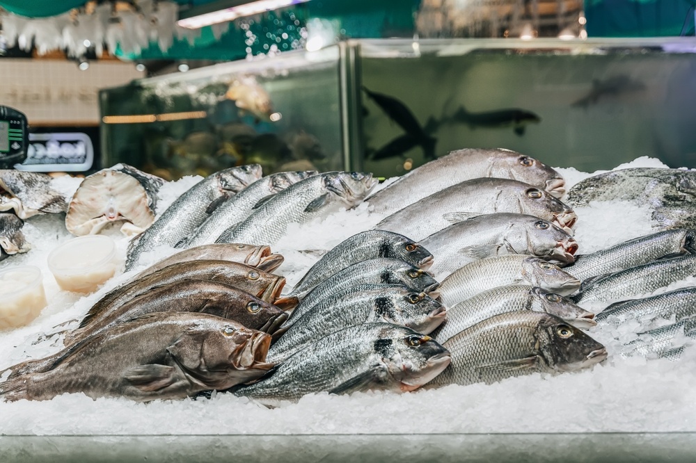 Are Fish Markets Profitable? [Plus 5 Steps To Increase Profits]